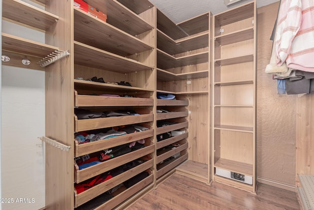 walk in closet featuring wood-type flooring