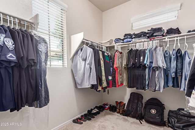 walk in closet featuring carpet floors