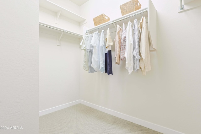 walk in closet featuring carpet flooring