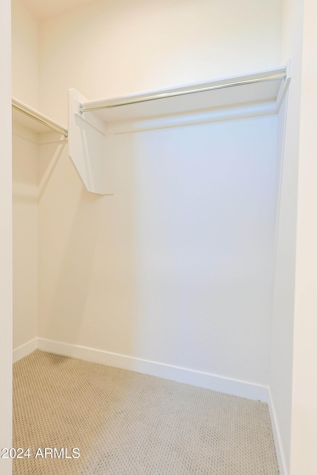 walk in closet featuring carpet flooring