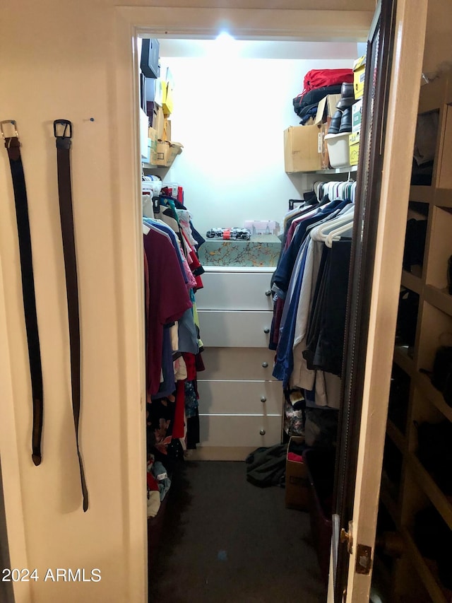 view of walk in closet