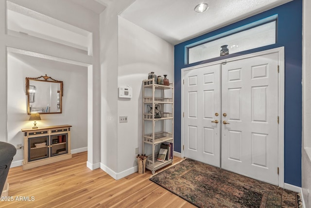 foyer featuring wood-type flooring