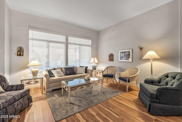 living room featuring wood-type flooring