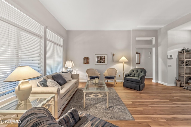 living room with hardwood / wood-style flooring