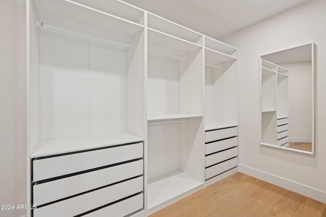 spacious closet with wood-type flooring