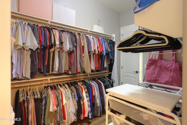 spacious closet with hardwood / wood-style flooring