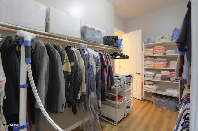 spacious closet featuring light hardwood / wood-style flooring