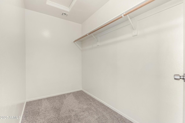 spacious closet with carpet flooring and visible vents