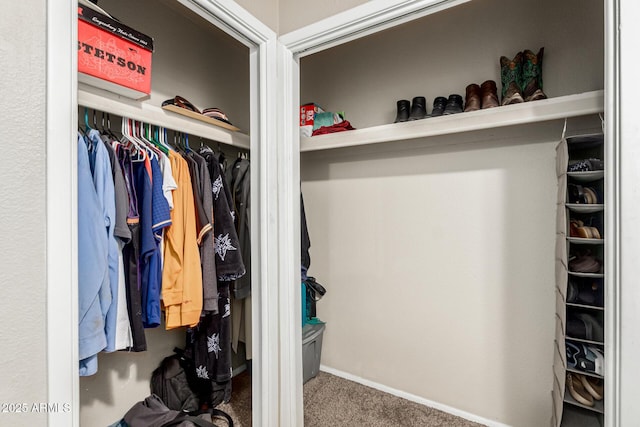 840 N Acacia, Mesa, AZ 85213 - view of closet