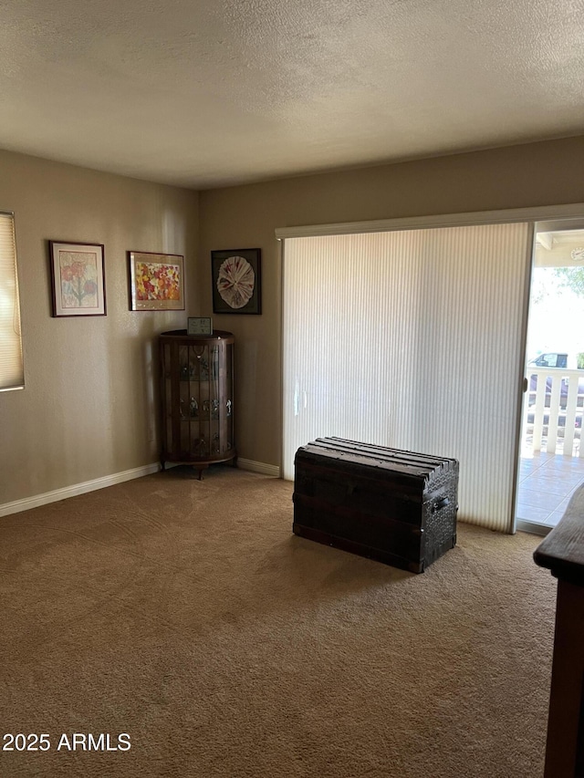 sitting room featuring carpet floors, baseboards, and a textured ceiling