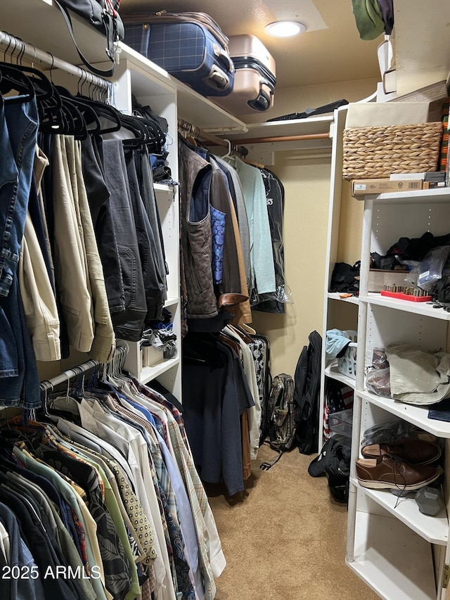 walk in closet with carpet