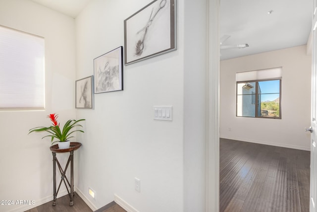 hallway with dark hardwood / wood-style floors