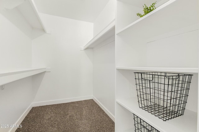 spacious closet with carpet floors