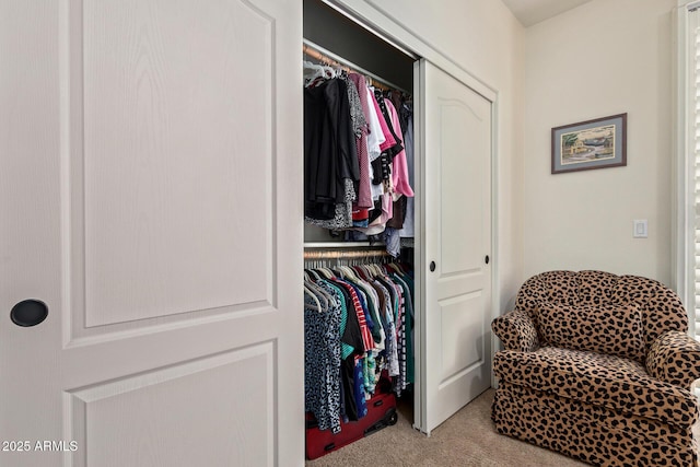 7726 E Baseline Rd Unit 125, Mesa, AZ 85209 - view of closet