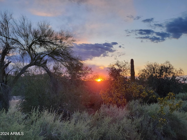 view of nature at dusk