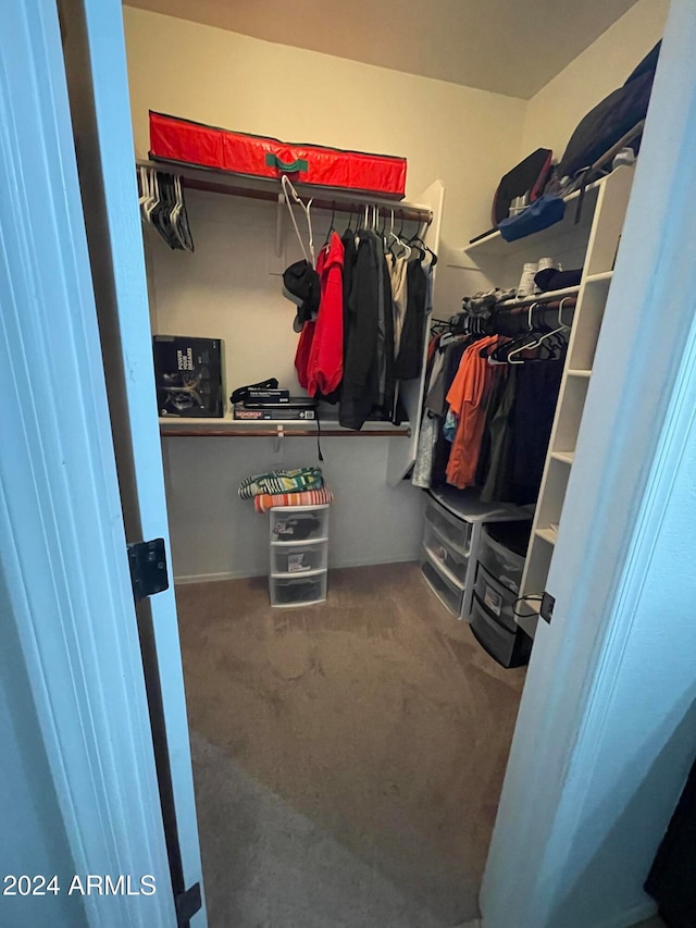 spacious closet featuring carpet floors