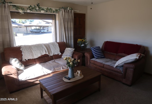 living area featuring carpet flooring