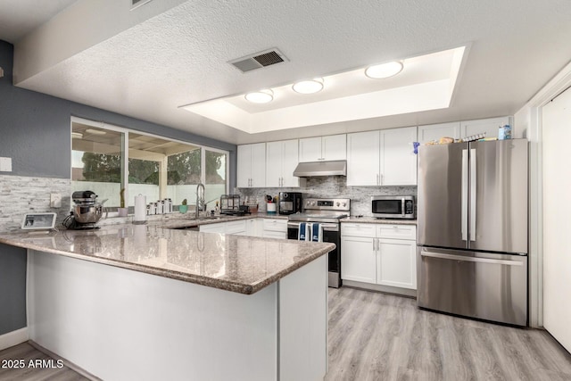 kitchen featuring a raised ceiling, light stone counters, a peninsula, stainless steel appliances, and under cabinet range hood