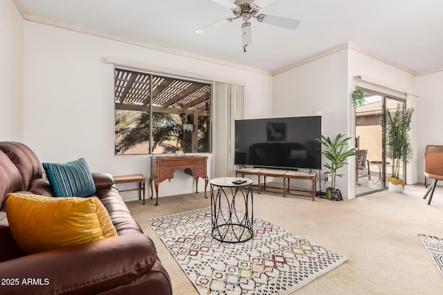 carpeted living area with ceiling fan and ornamental molding