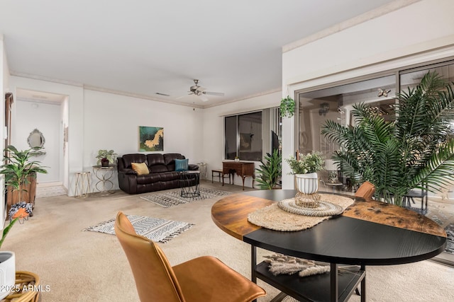 carpeted dining room featuring ornamental molding and ceiling fan