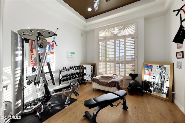 workout area with hardwood / wood-style floors and a raised ceiling