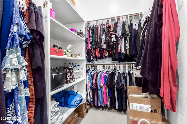 spacious closet with carpet