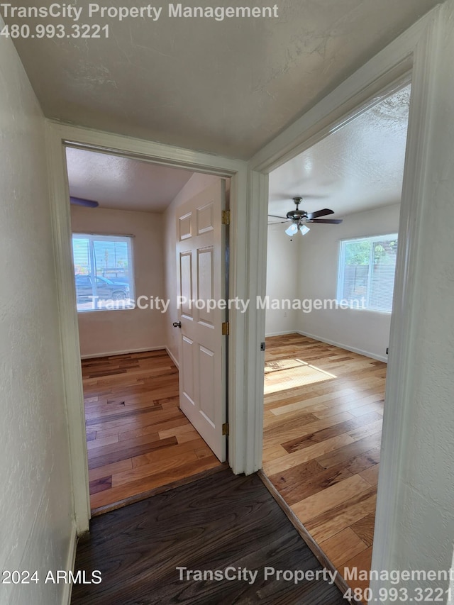 corridor with hardwood / wood-style flooring and a healthy amount of sunlight