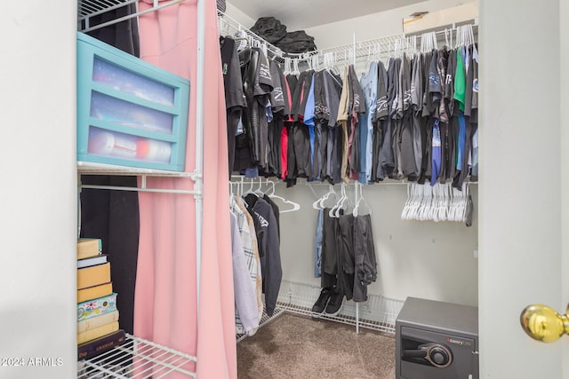 spacious closet with carpet