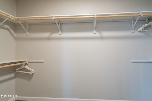 view of spacious closet