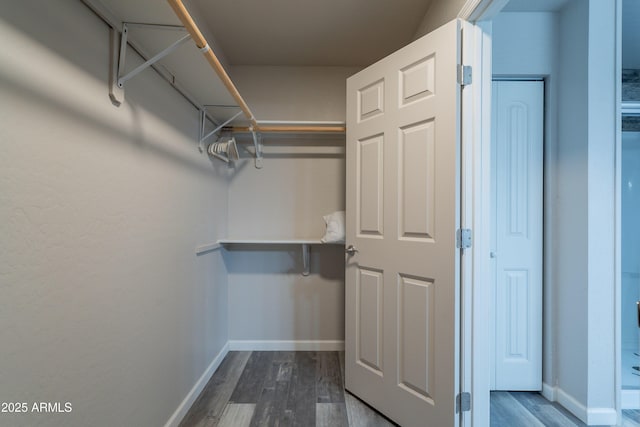 walk in closet with dark wood-style floors