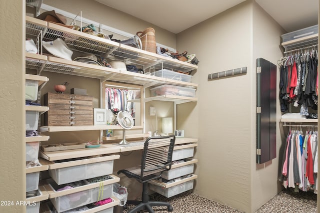 view of spacious closet