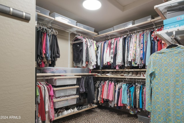 view of spacious closet