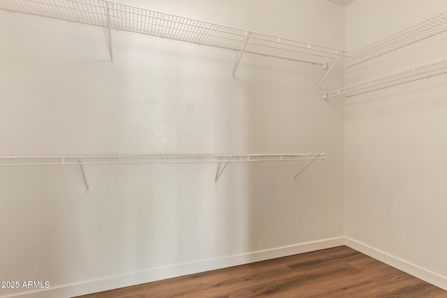 walk in closet with dark wood-style flooring