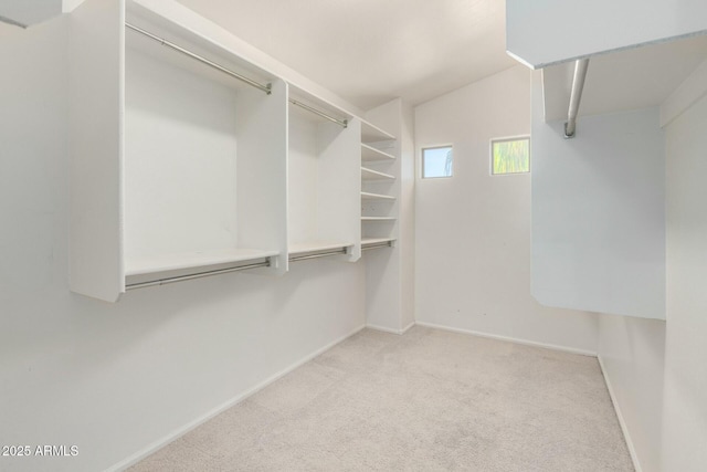 1051 E Julie Ave, San Tan Valley, AZ 85140 - spacious closet with carpet floors