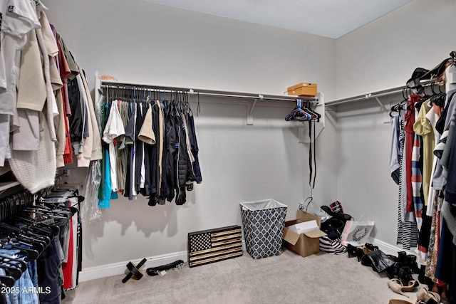 walk in closet featuring carpet