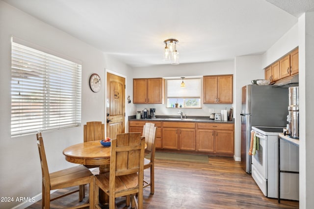 kitchen featuring dark hardwood / wood-style floors, a healthy amount of sunlight, white electric range oven, and sink