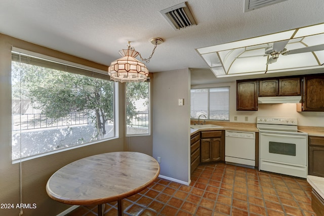 kitchen with ceiling fan, sink, hanging light fixtures, white appliances, and dark brown cabinets