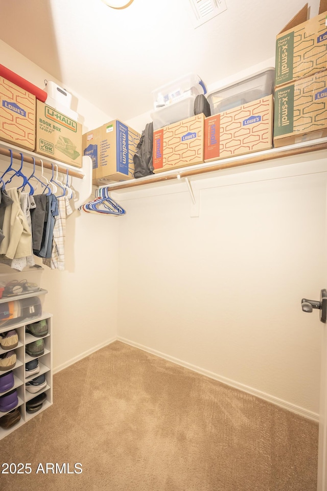 29110 N 24th Ln, Phoenix, AZ 85085 - walk in closet with carpet