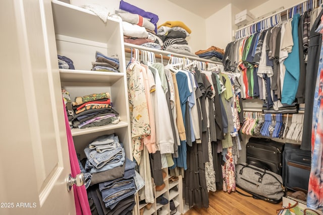 29110 N 24th Ln, Phoenix, AZ 85085 - spacious closet with wood finished floors