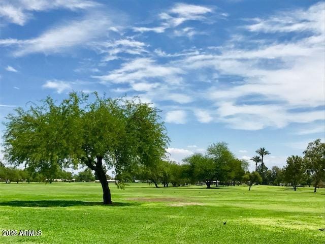 surrounding community featuring a lawn