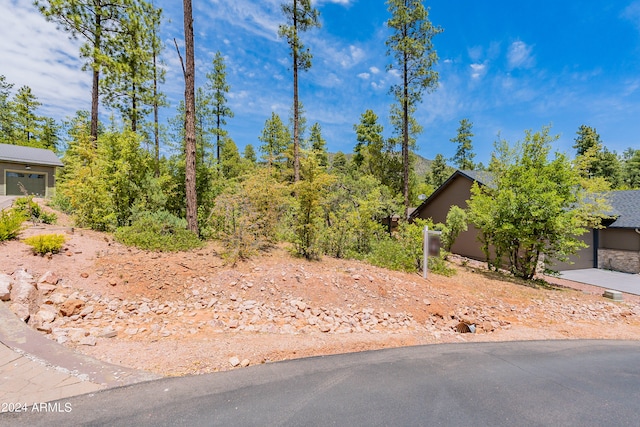 Listing photo 2 for 4020 W Forest Ct Unit 71, Pine AZ 85544