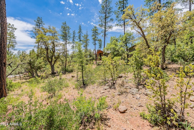 Listing photo 3 for 4020 W Forest Ct Unit 71, Pine AZ 85544