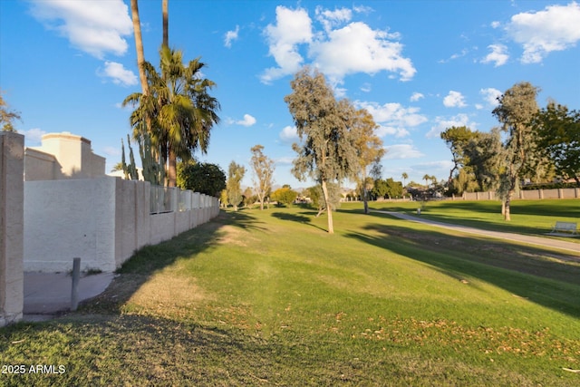 8405 E San Pedro Dr, Scottsdale, AZ 85258 - view of yard