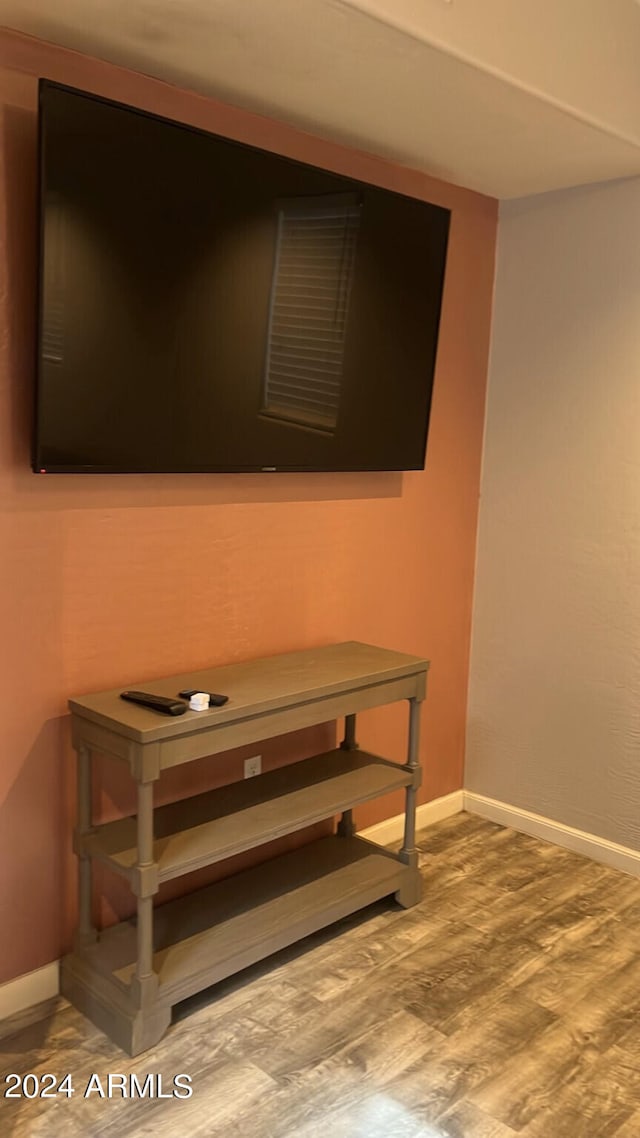 room details featuring wood-type flooring