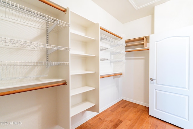 spacious closet with light wood finished floors