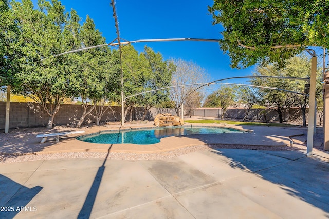 view of swimming pool featuring a fenced in pool, a patio area, a fenced backyard, and a diving board