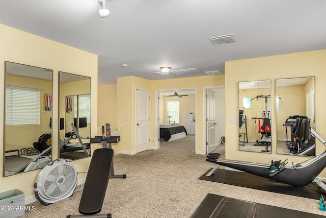 gym featuring carpet flooring and ceiling fan