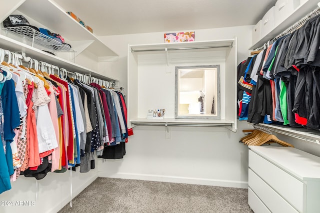 spacious closet featuring light carpet