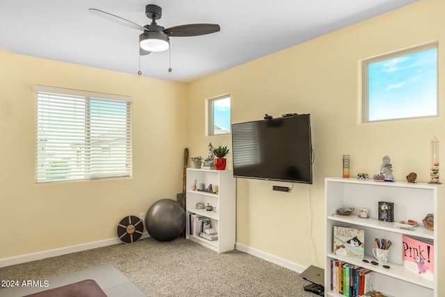 exercise room with carpet flooring, a wealth of natural light, and ceiling fan