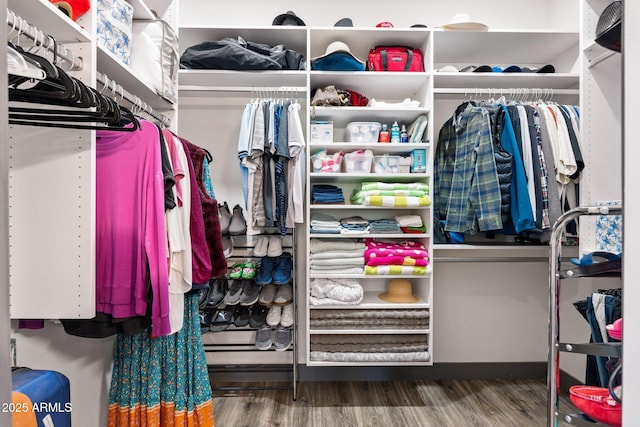 walk in closet featuring wood finished floors